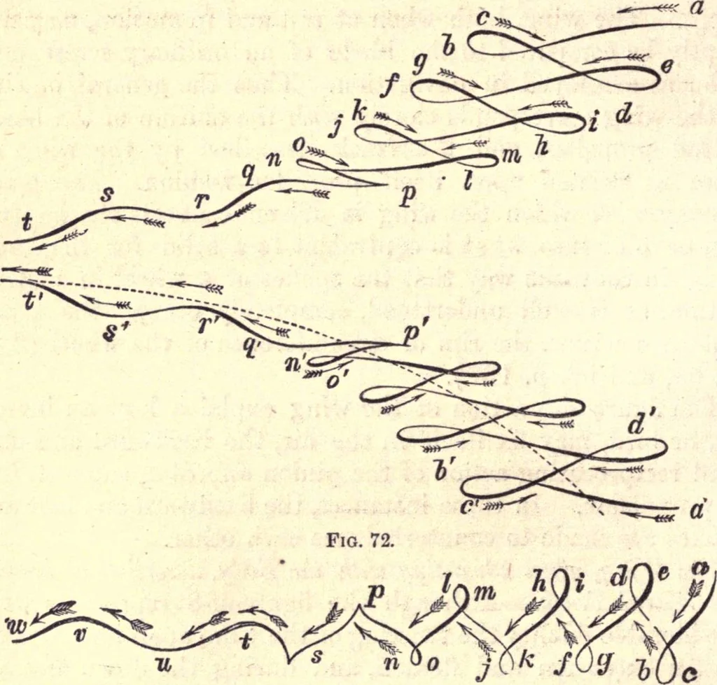 An illustration from Animal locomotion, or Walking, swimming, and flying, with a dissertation on aëronautics, 1874, leaf 169