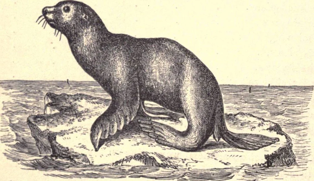 An illustration from Animal locomotion, or Walking, swimming, and flying, with a dissertation on aëronautics, 1874, leaf 17