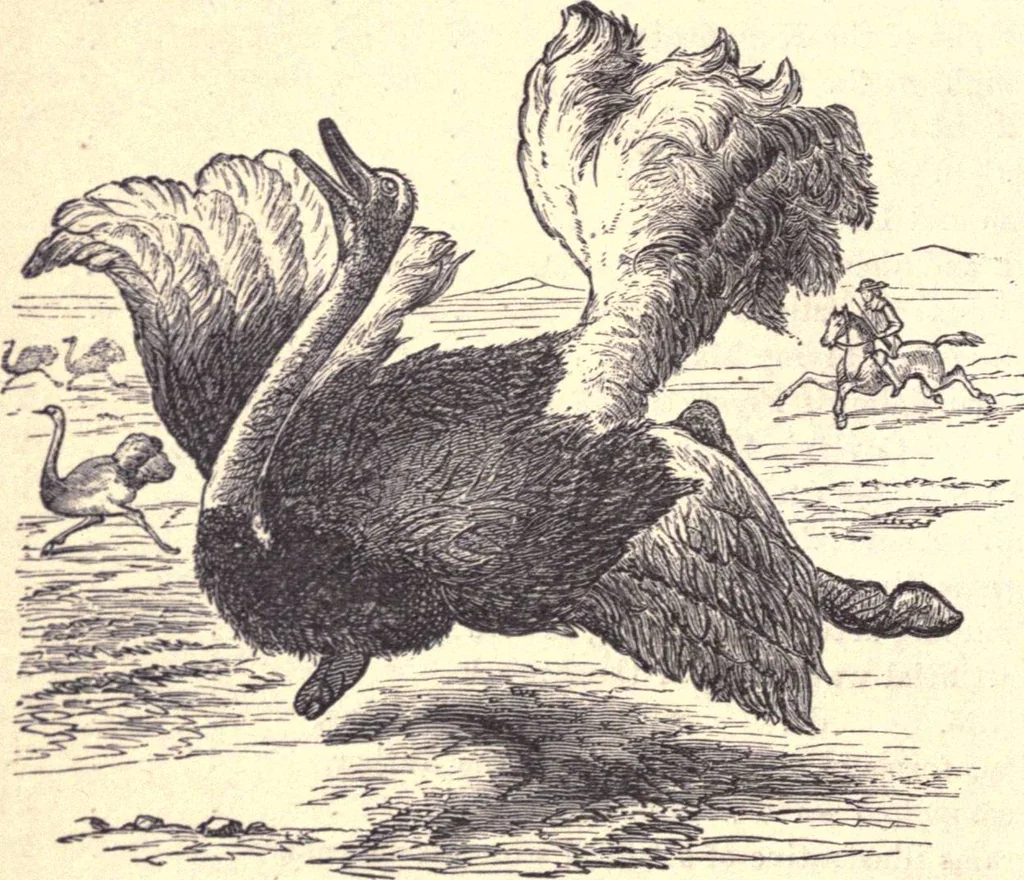 An illustration from Animal locomotion, or Walking, swimming, and flying, with a dissertation on aëronautics, 1874, leaf 21