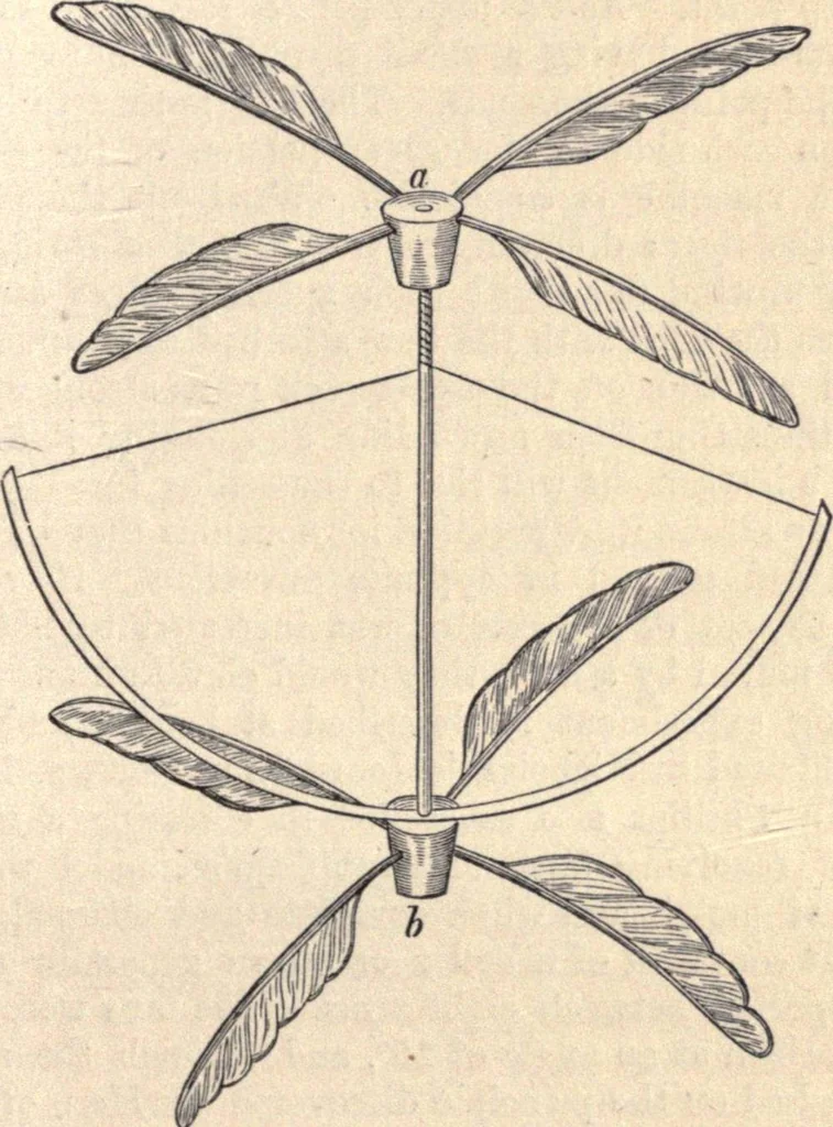 An illustration from Animal locomotion, or Walking, swimming, and flying, with a dissertation on aëronautics, 1874, leaf 242