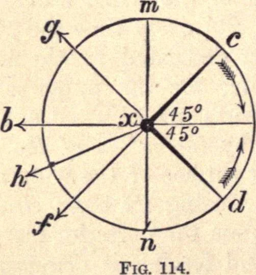 An illustration from Animal locomotion, or Walking, swimming, and flying, with a dissertation on aëronautics, 1874, leaf 255