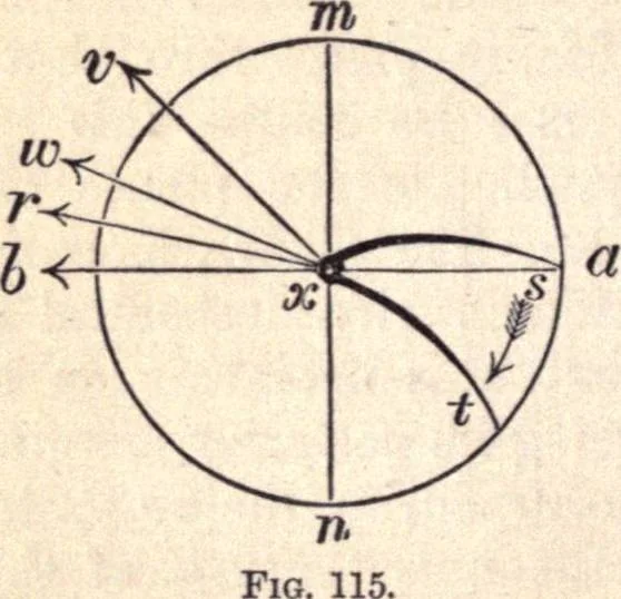 An illustration from Animal locomotion, or Walking, swimming, and flying, with a dissertation on aëronautics, 1874, leaf 255