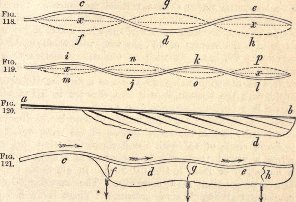An illustration from Animal locomotion, or Walking, swimming, and flying, with a dissertation on aëronautics, 1874, leaf 264