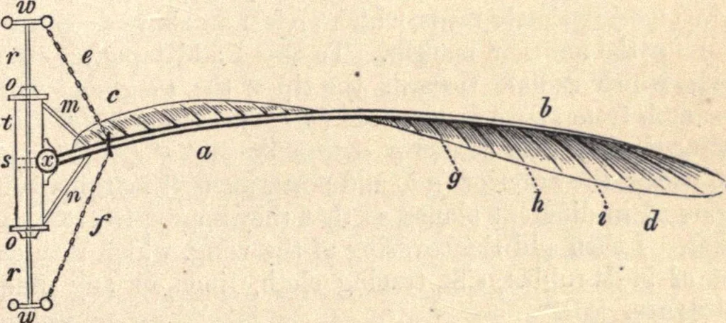 An illustration from Animal locomotion, or Walking, swimming, and flying, with a dissertation on aëronautics, 1874, leaf 266