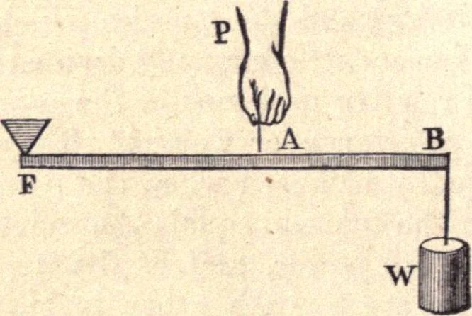 An illustration from Animal locomotion, or Walking, swimming, and flying, with a dissertation on aëronautics, 1874, leaf 45