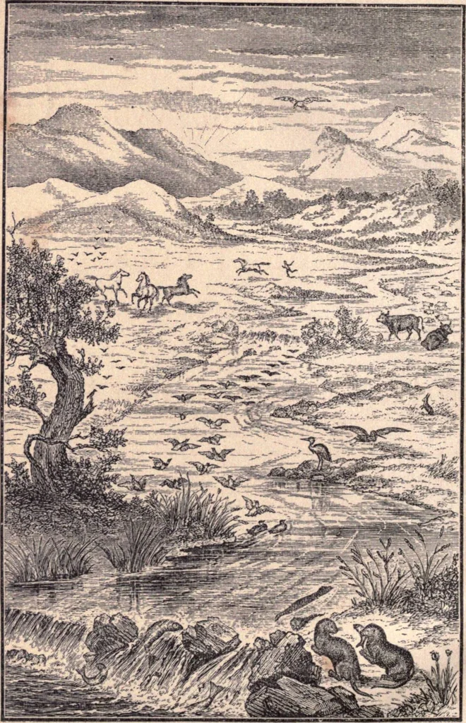 An illustration from Animal locomotion, or Walking, swimming, and flying, with a dissertation on aëronautics, 1874, leaf 7