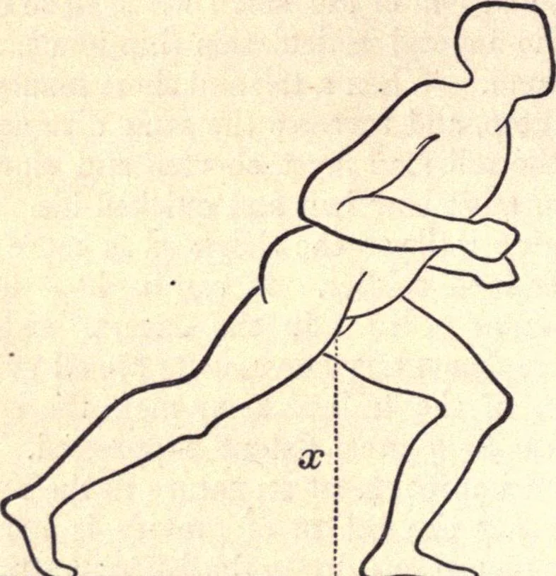 An illustration from Animal locomotion, or Walking, swimming, and flying, with a dissertation on aëronautics, 1874, leaf 87