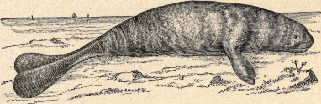 An illustration from Animal locomotion, or Walking, swimming, and flying, with a dissertation on aëronautics, 1874, leaf 98