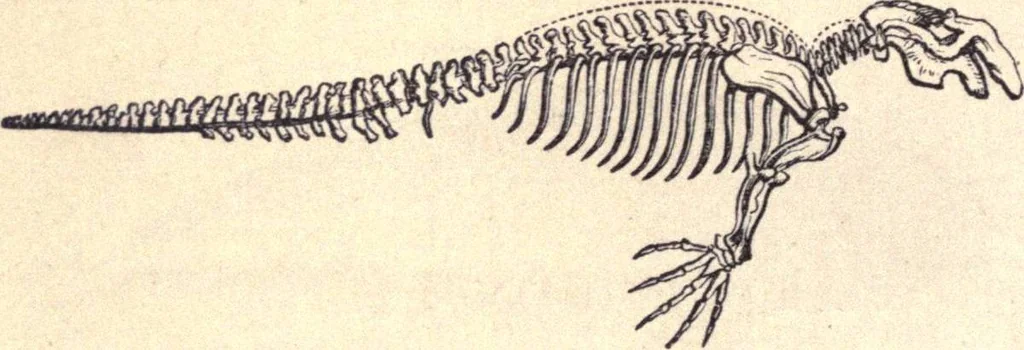 An illustration from Animal locomotion, or Walking, swimming, and flying, with a dissertation on aëronautics, 1874, leaf 99