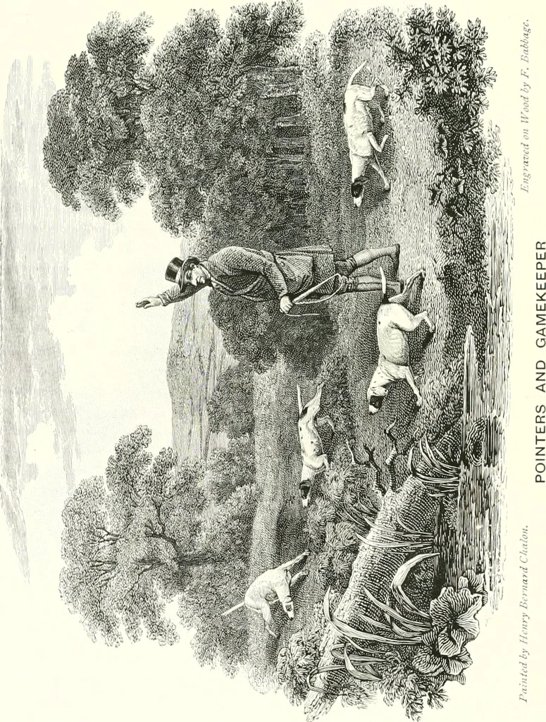 An illustration from Animal painters of England from the year 1650 : a brief history of their lives and works: illustrated with--specimens of their paintngs, 1900, leaf 125