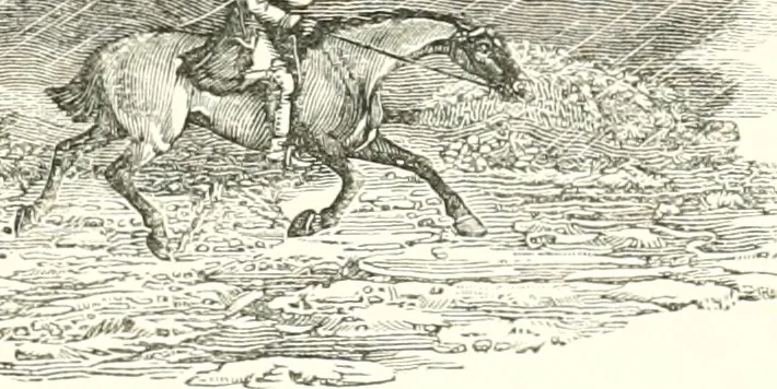 An illustration from Animal painters of England from the year 1650 : a brief history of their lives and works: illustrated with--specimens of their paintngs, 1900, leaf 136