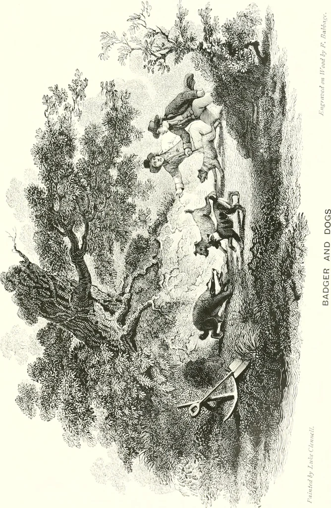 An illustration from Animal painters of England from the year 1650 : a brief history of their lives and works: illustrated with--specimens of their paintngs, 1900, leaf 140