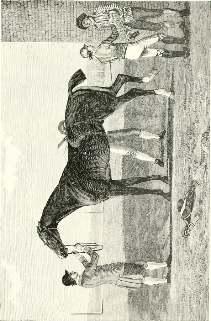 An illustration from Animal painters of England from the year 1650 : a brief history of their lives and works: illustrated with--specimens of their paintngs, 1900, leaf 272