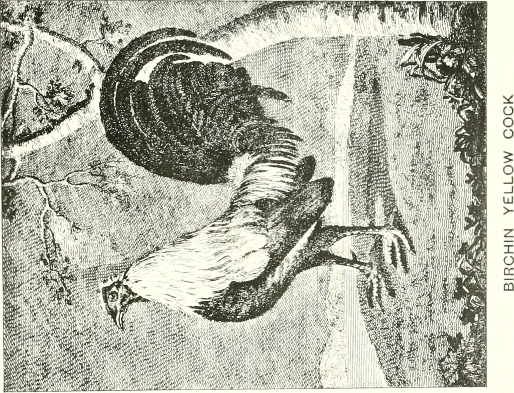 An illustration from Animal painters of England from the year 1650 : a brief history of their lives and works: illustrated with--specimens of their paintngs, 1900, leaf 94