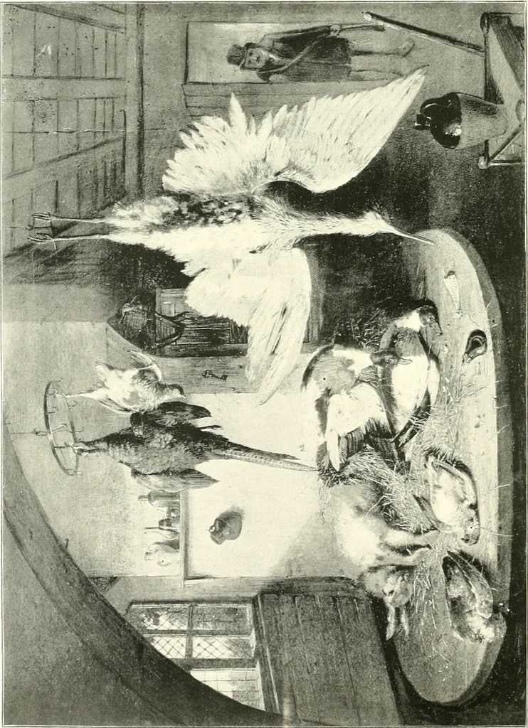 An illustration from Animal painters of England from the year 1650 : a brief history of their lives and works: illustrated with--specimens of their paintngs, 1900, leaf 99