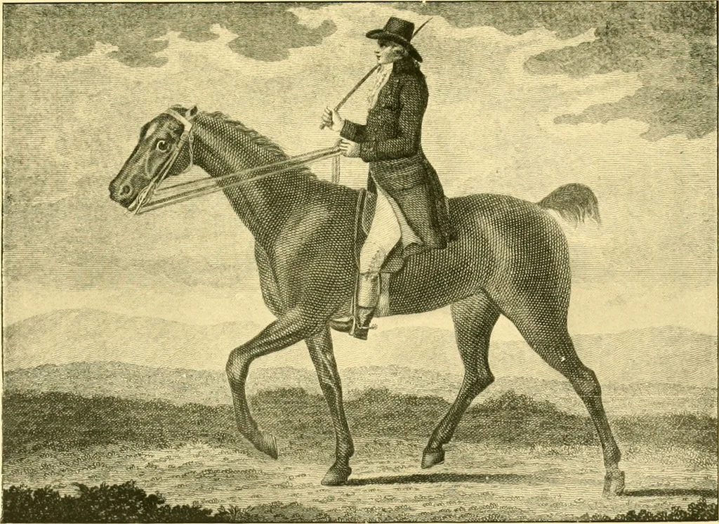 An illustration from Animal painters of England from the year 1650 : a brief history of their lives and works: illustrated with--specimens of their painting, 1900, leaf 166
