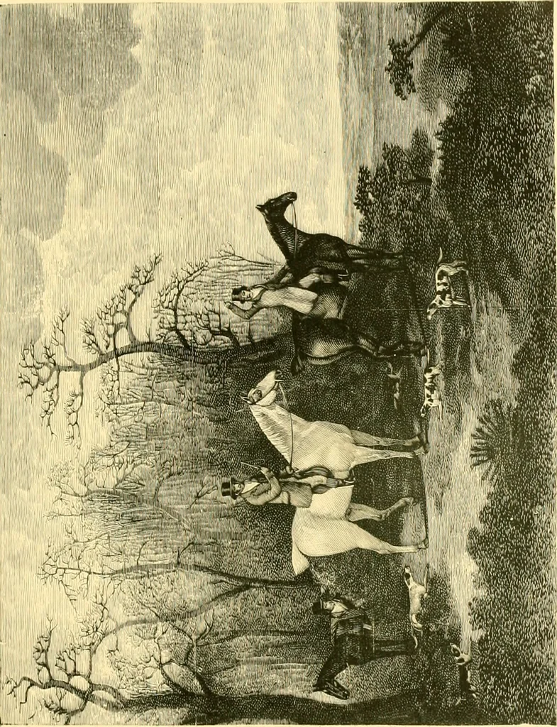 An illustration from Animal painters of England from the year 1650 : a brief history of their lives and works: illustrated with--specimens of their painting, 1900, leaf 312