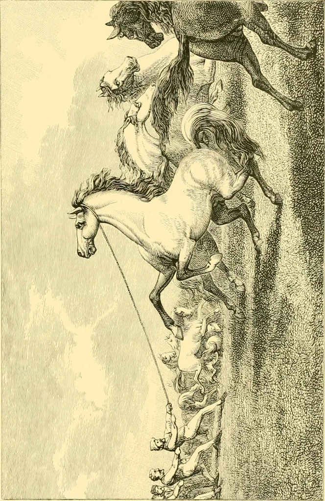 An illustration from Animal painters of England from the year 1650 : a brief history of their lives and works: illustrated with--specimens of their painting, 1900, leaf 64
