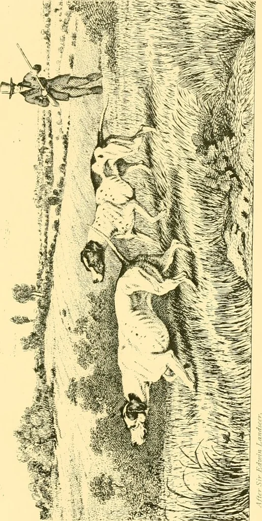 An illustration from Animal painters of England from the year 1650 : a brief history of their lives and works: illustrated with--specimens of their painting, 1900, leaf 78