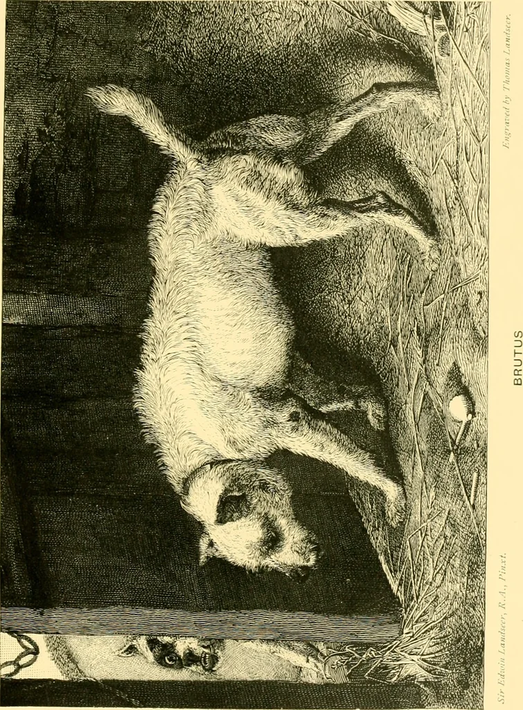 An illustration from Animal painters of England from the year 1650 : a brief history of their lives and works: illustrated with--specimens of their painting, 1900, leaf 96