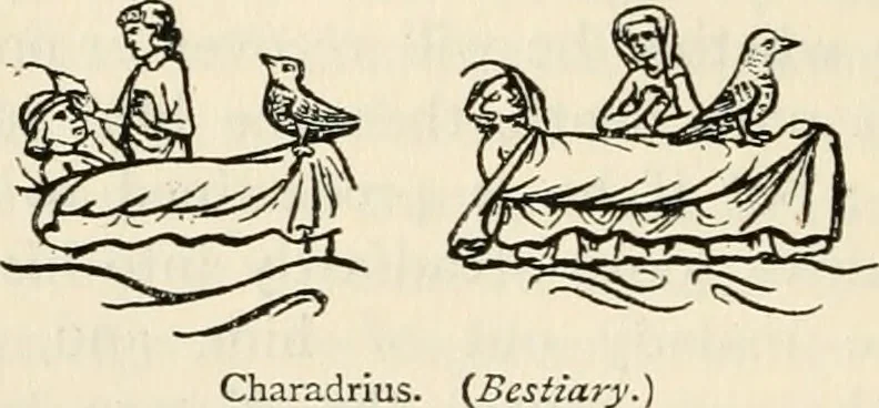 An illustration from Animal symbolism in ecclesiastical architecture, 1896, leaf 161