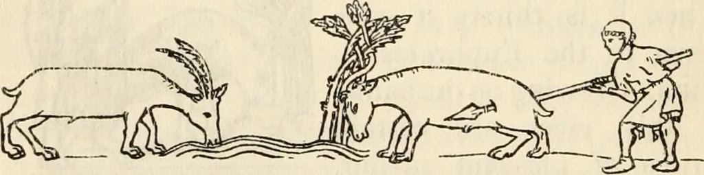 An illustration from Animal symbolism in ecclesiastical architecture, 1896, leaf 189
