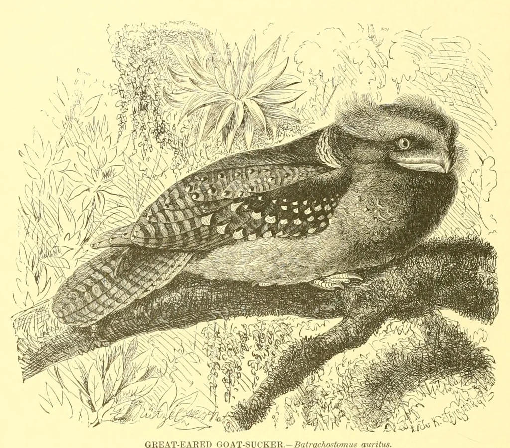 An illustration from Animate creation : popular edition of "Our living world" : a natural history, 1898, leaf 136