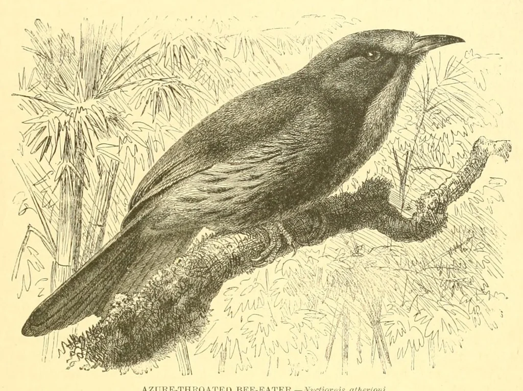 An illustration from Animate creation : popular edition of "Our living world" : a natural history, 1898, leaf 193