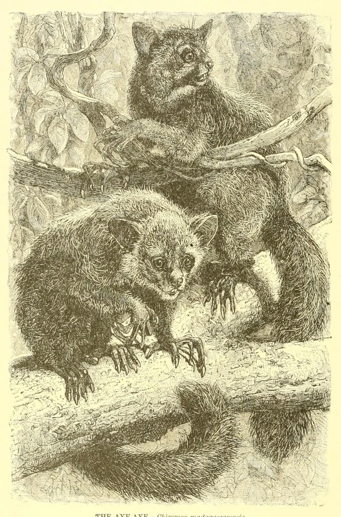 An illustration from Animate creation : popular edition of "Our living world" : a natural history, 1898, leaf 136