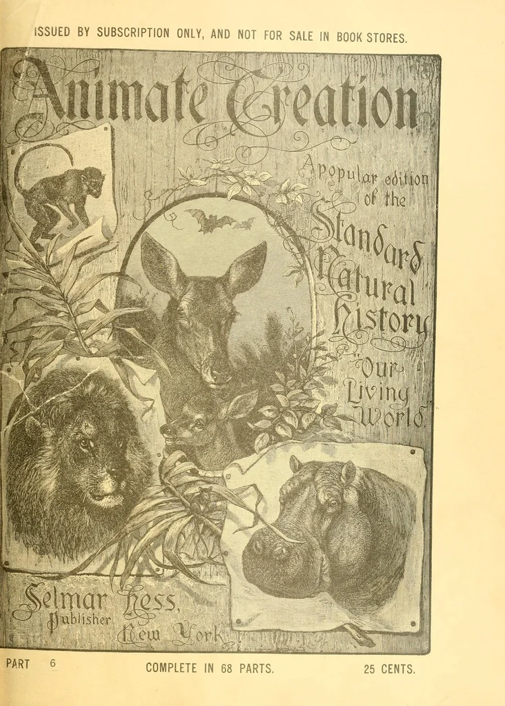 An illustration from Animate creation : popular edition of "Our living world" : a natural history, 1898, leaf 185