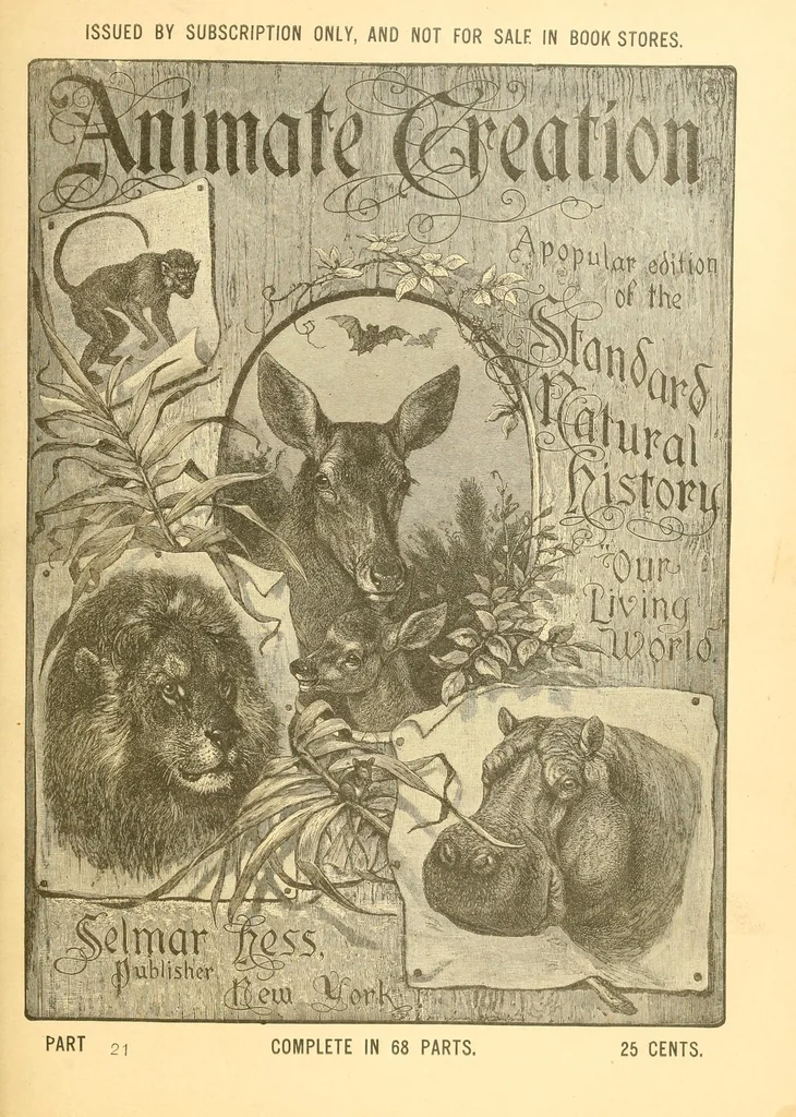 An illustration from Animate creation : popular edition of "Our living world" : a natural history, 1898, leaf 293