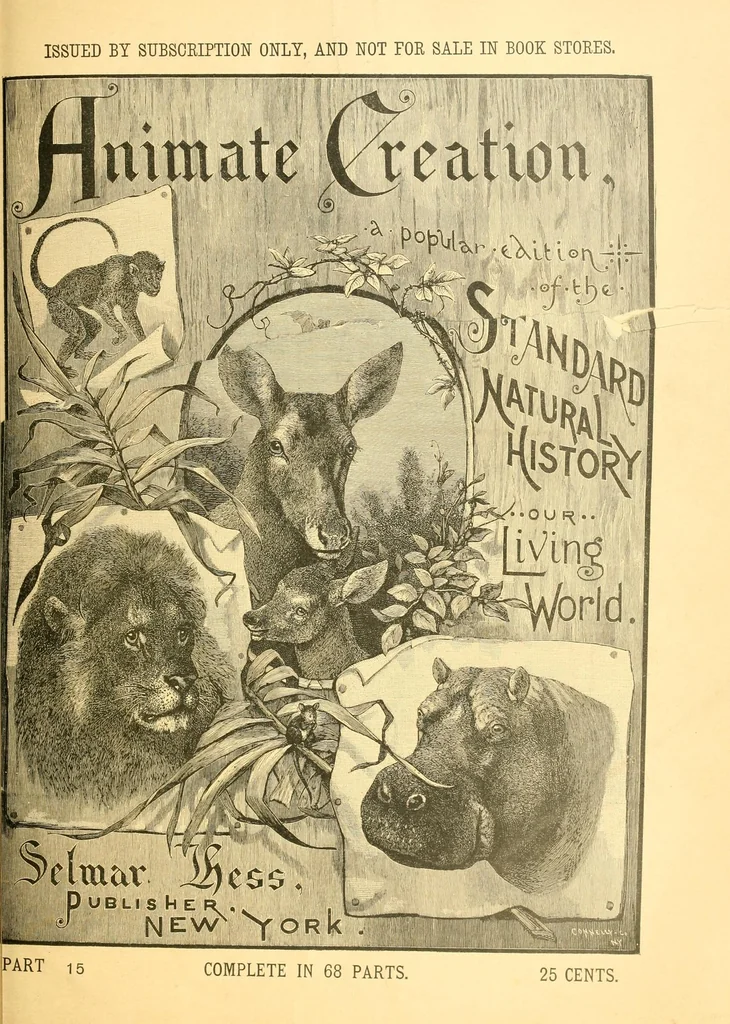 An illustration from Animate creation : popular edition of "Our living world" : a natural history, 1898, leaf 81