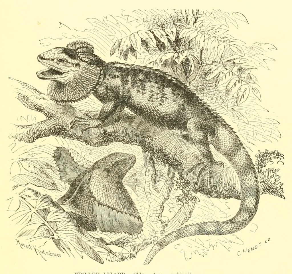 An illustration from Animate creation : popular edition of "Our living world" : a natural history, 1898, leaf 125