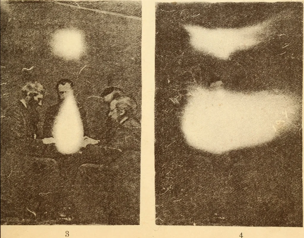 An illustration from Animismus und spiritismus. Versuch einer kritischen prüfung der mediumistischen phänomene mit besonderer berücksichtigung der hypothesen der hallucination und des unbewussten. Als entgegnung auf Ed. v. Hartmann's Werk: "Der spiritismus.", 1894, leaf 394
