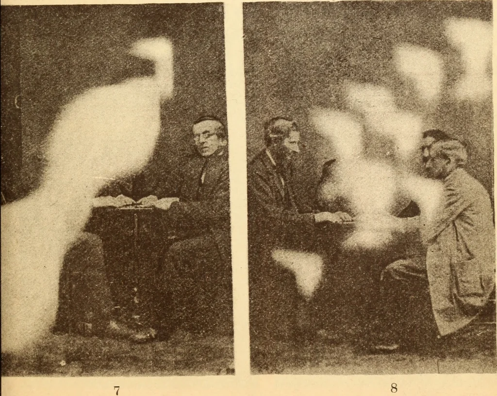 An illustration from Animismus und spiritismus. Versuch einer kritischen prüfung der mediumistischen phänomene mit besonderer berücksichtigung der hypothesen der hallucination und des unbewussten. Als entgegnung auf Ed. v. Hartmann's Werk: "Der spiritismus.", 1894, leaf 396