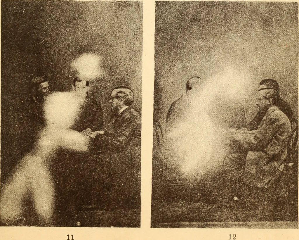 An illustration from Animismus und spiritismus. Versuch einer kritischen prüfung der mediumistischen phänomene mit besonderer berücksichtigung der hypothesen der hallucination und des unbewussten. Als entgegnung auf Ed. v. Hartmann's Werk: "Der spiritismus.", 1894, leaf 398