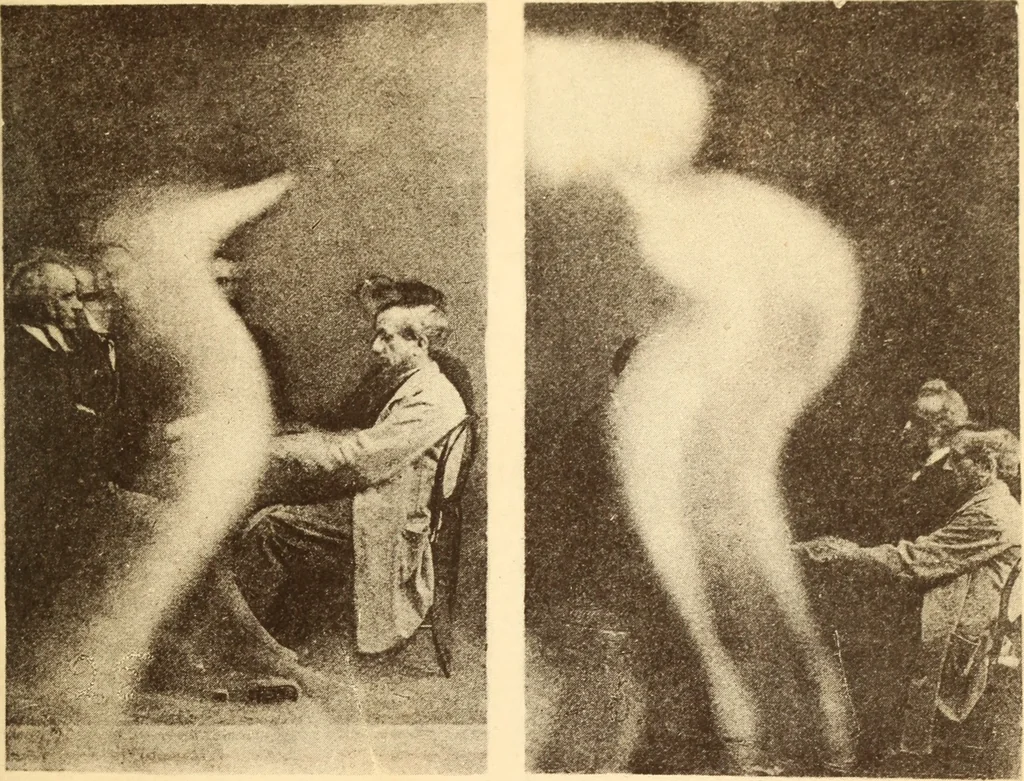 An illustration from Animismus und spiritismus. Versuch einer kritischen prüfung der mediumistischen phänomene mit besonderer berücksichtigung der hypothesen der hallucination und des unbewussten. Als entgegnung auf Ed. v. Hartmann's Werk: "Der spiritismus.", 1894, leaf 398