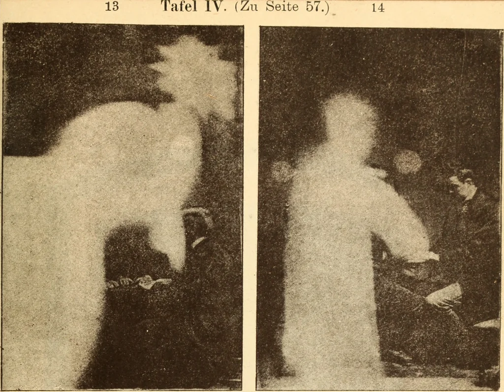 An illustration from Animismus und spiritismus. Versuch einer kritischen prüfung der mediumistischen phänomene mit besonderer berücksichtigung der hypothesen der hallucination und des unbewussten. Als entgegnung auf Ed. v. Hartmann's Werk: "Der spiritismus.", 1894, leaf 400