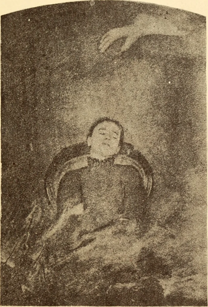 An illustration from Animismus und spiritismus. Versuch einer kritischen prüfung der mediumistischen phänomene mit besonderer berücksichtigung der hypothesen der hallucination und des unbewussten. Als entgegnung auf Ed. v. Hartmann's Werk: "Der spiritismus.", 1894, leaf 402