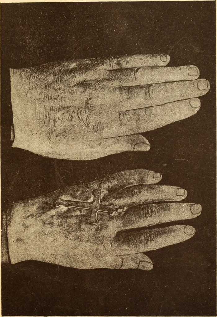 An illustration from Animismus und spiritismus. Versuch einer kritischen prüfung der mediumistischen phänomene mit besonderer berücksichtigung der hypothesen der hallucination und des unbewussten. Als entgegnung auf Ed. v. Hartmann's Werk: "Der spiritismus.", 1894, leaf 406