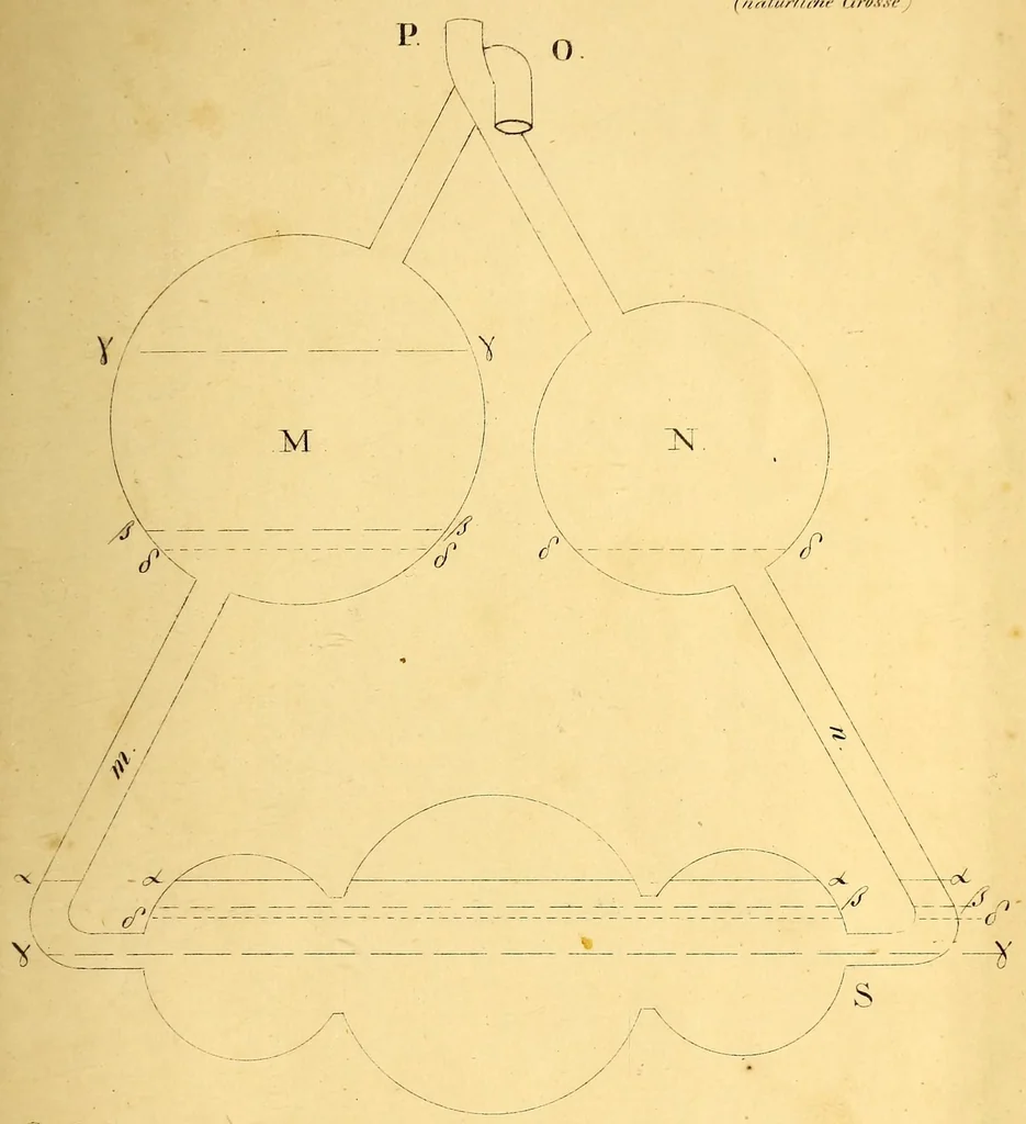 An illustration from Anleitung zur Analyse organischer Körper, 1837, leaf 93
