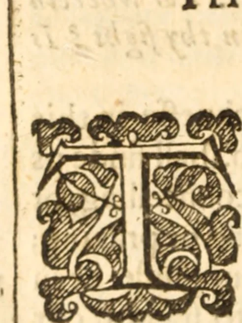 An illustration from The anatomie of mortalitie : divided into eight heads .., 1632, leaf 189