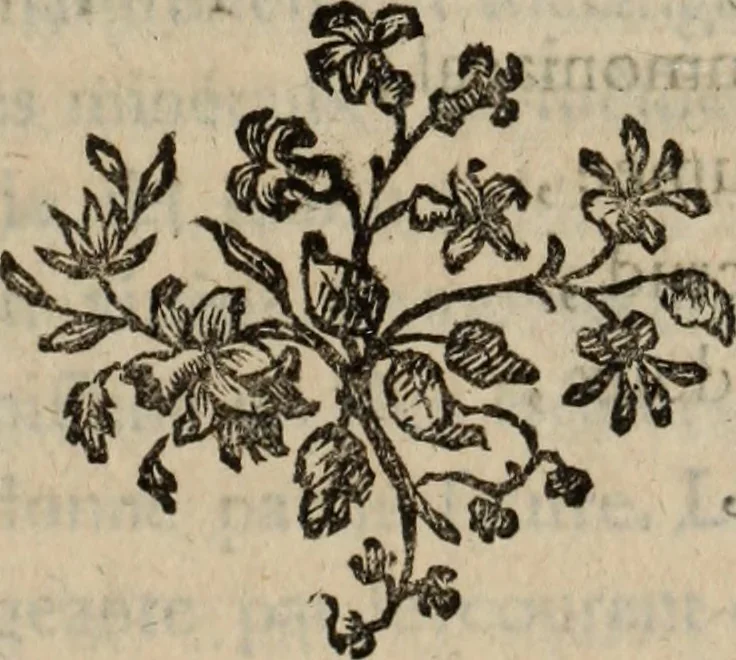 An illustration from Annales de chimie et de physique, 1789, leaf 272