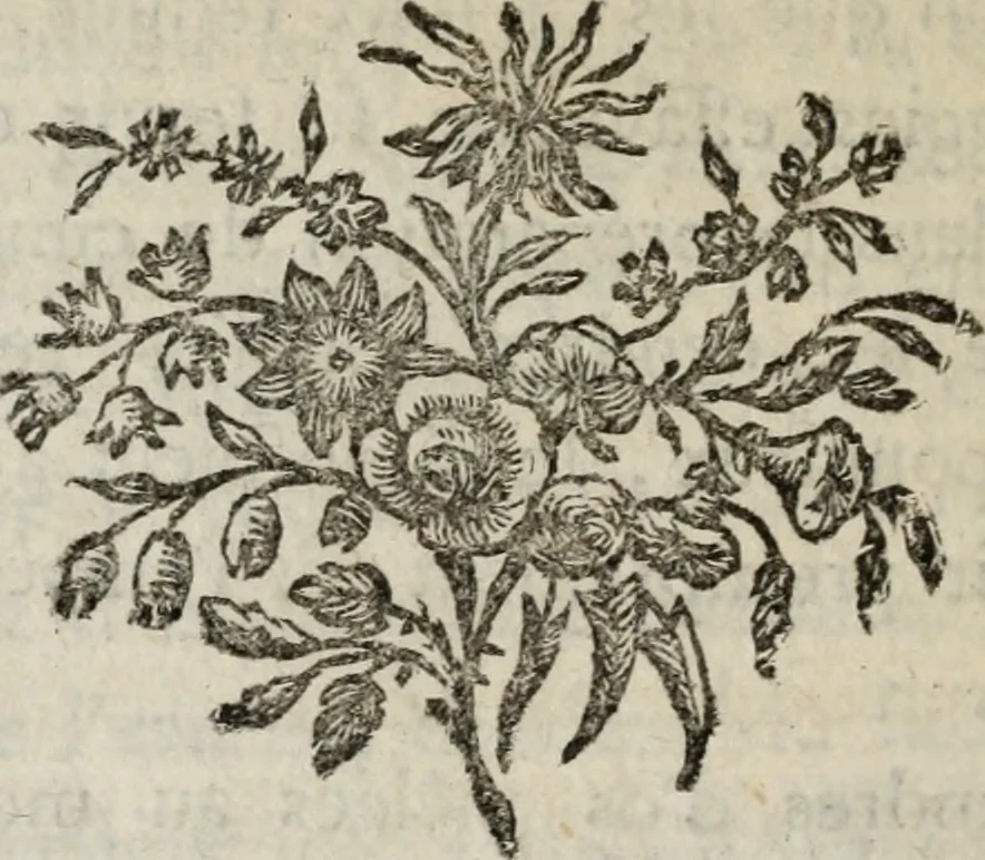 An illustration from Annales de chimie et de physique, 1789, leaf 287