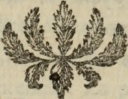 An illustration from Annales de chimie et de physique, 1789, leaf 68