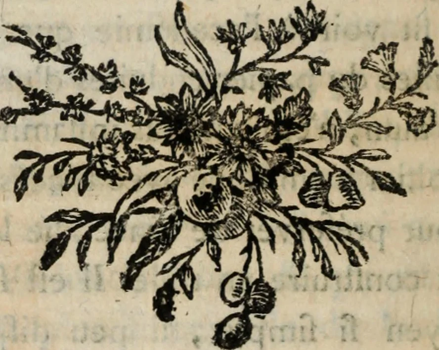 An illustration from Annales de chimie et de physique, 1789, leaf 155