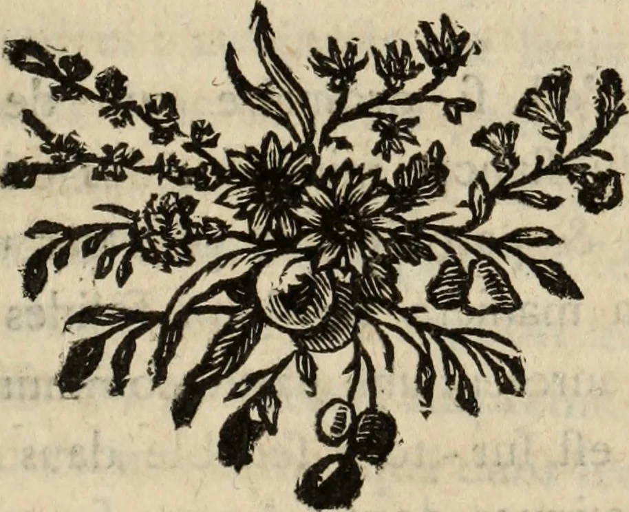An illustration from Annales de chimie et de physique, 1789, leaf 148