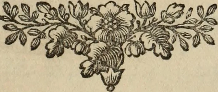 An illustration from Annales de chimie et de physique, 1789, leaf 6