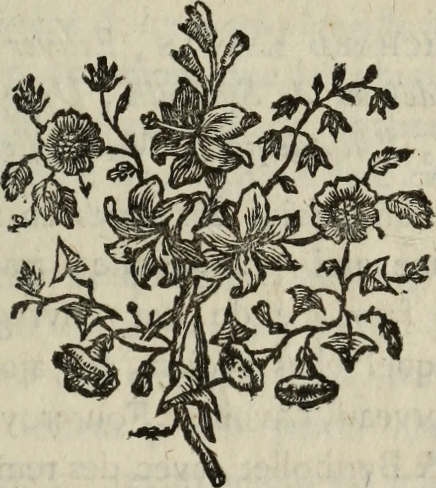 An illustration from Annales de chimie et de physique, 1789, leaf 210