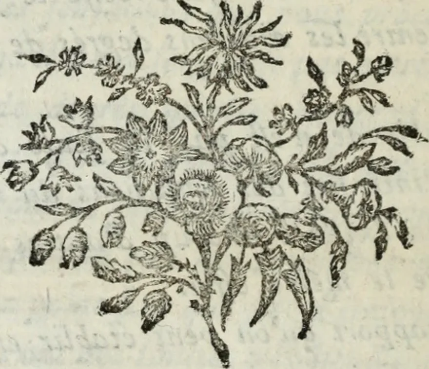 An illustration from Annales de chimie et de physique, 1789, leaf 213